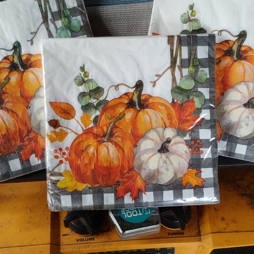 Dinner Napkins
